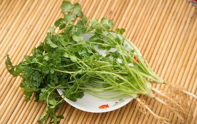 1704187996805255.jpg t01e522db4bd12427dd.webp.jpg